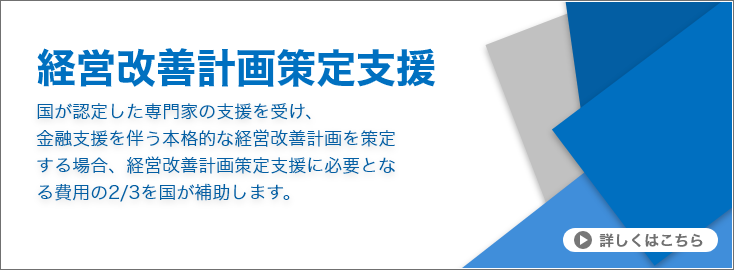 経営改善計画策定支援